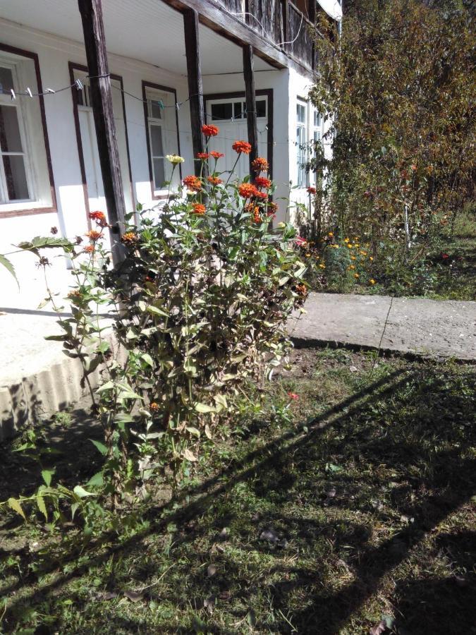 Ferienwohnung Orbeli Exterior foto